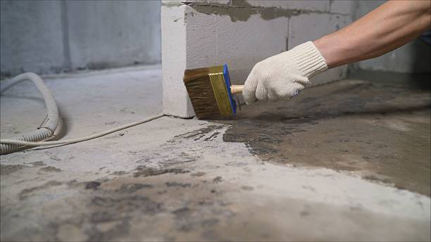 Top rated local Basement Waterproofing specialists in Waynesboro, VA